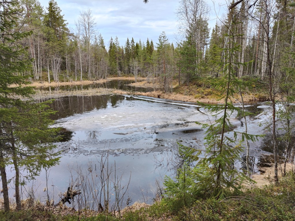 lampi oli vielä jäässä